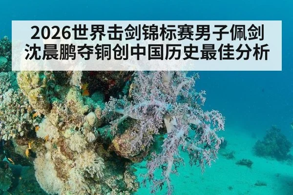 2026世界击剑锦标赛男子佩剑沈晨鹏夺铜创中国历史最佳分析